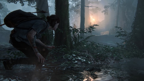 The Last of Us Part II: Remastered (PC) - Steam Key - NORTH AMERICA - 7