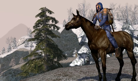 The Lord of the Rings Online: Samwise Gamgee's Starter Pack Code LOTRO Key GLOBAL - 2
