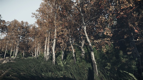 The Lost Valley Steam Key GLOBAL - 10