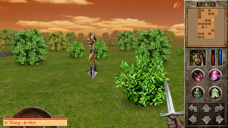 The Quest Steam Key GLOBAL - 14