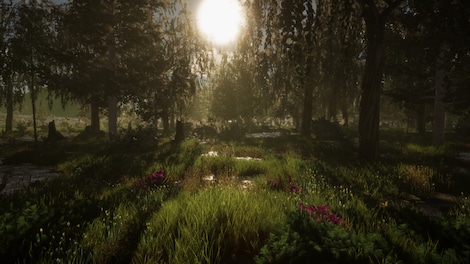 The Quinfall (PC) - Steam Key - EUROPE - 24