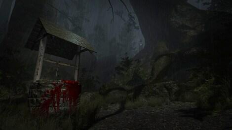 The Ritual on Weylyn Island Steam Key CIS - 14