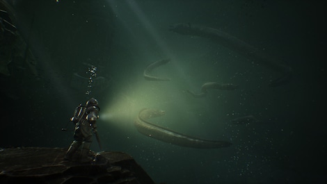 The Sinking City (PC) - Steam Key - GLOBAL - 9
