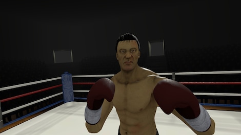 The Thrill of the Fight (PC) - Steam Gift - EUROPE - 5