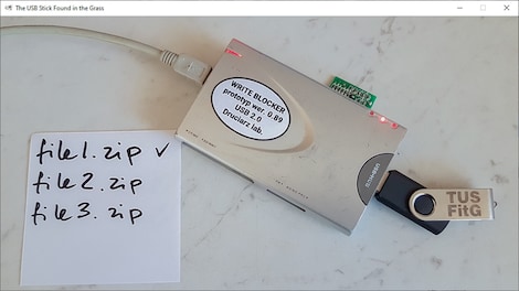 The USB Stick Found in the Grass (PC) - Steam Key - GLOBAL - 0