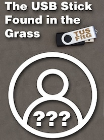 The USB Stick Found in the Grass (PC) - Steam Key - GLOBAL - 1