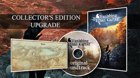 The Vanishing of Ethan Carter - Collector's Edition Upgrade Steam Gift GLOBAL - 5