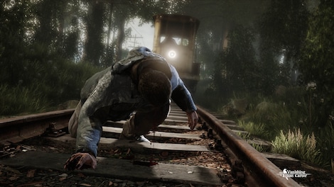 The Vanishing of Ethan Carter (PC) - Steam Key - CIS - 2
