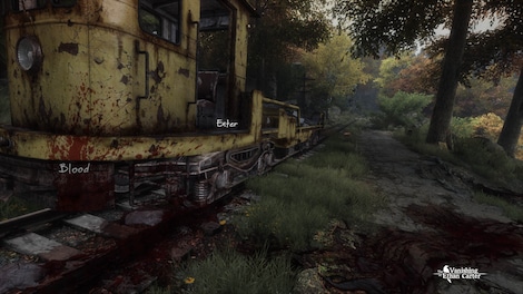 The Vanishing of Ethan Carter (PC) - Steam Key - CIS - 11