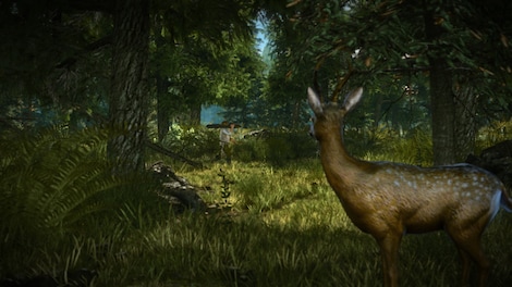 The Witcher 2: Assassins of Kings Enhanced Edition (PC) - GOG.COM Key - GLOBAL - 8