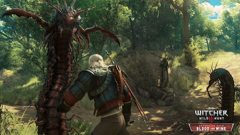 The Witcher 3: Wild Hunt - Blood and Wine (PC) - GOG.COM Key - GLOBAL - 4
