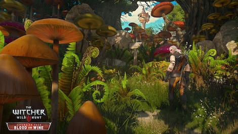 The Witcher 3: Wild Hunt - Blood and Wine PS4 PSN EUROPE - 6