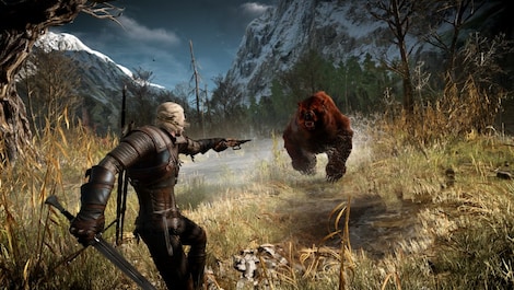 The Witcher 3: Wild Hunt Expansion Pass GOG.COM Key CIS - 6