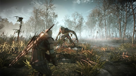The Witcher 3: Wild Hunt Expansion Pass (Xbox Series X/S) - Xbox Live Key - EUROPE - 5