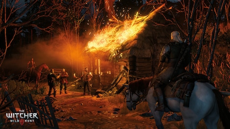 The Witcher 3: Wild Hunt (PC) - Steam Key - CIS - 14