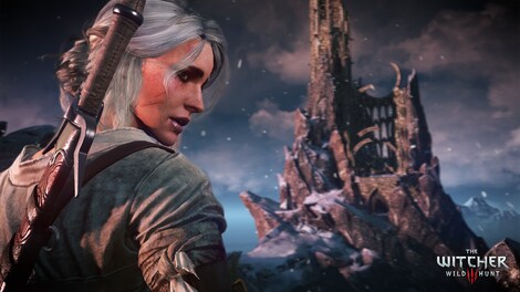 The Witcher 3: Wild Hunt Steam (PC) - Steam Gift - WESTERN ASIA - 17