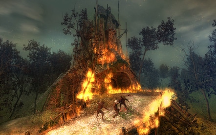 The Witcher: Enhanced Edition Director's Cut Steam Gift NORTH AMERICA - 19