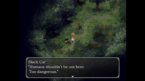 The Witch's House MV Steam Gift NORTH AMERICA - 7