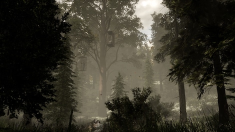 The Woods: VR Escape the Room Steam Key GLOBAL - 5