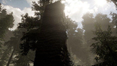 The Woods: VR Escape the Room Steam Key GLOBAL - 6