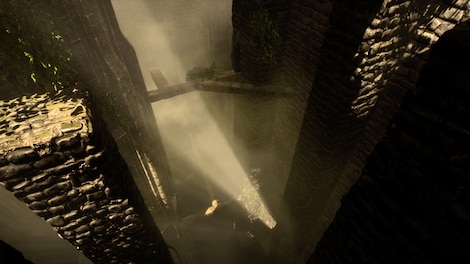 The Woods: VR Escape the Room Steam Key GLOBAL - 0