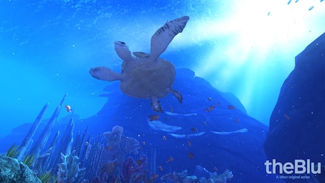 theBlu VR Steam Key GLOBAL - 6