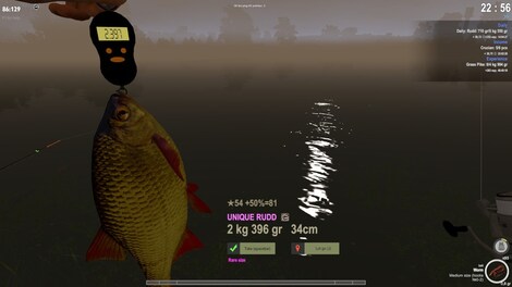 theFisher Online - Steam - Gift GLOBAL - 10