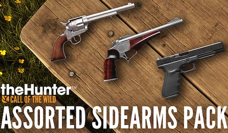TheHunter: Call of the Wild - Assorted Sidearms Pack (PC) - Steam Gift - GLOBAL - 0