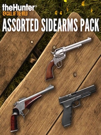 TheHunter: Call of the Wild - Assorted Sidearms Pack (PC) - Steam Gift - GLOBAL - 1
