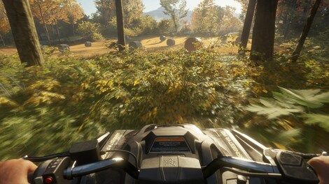 theHunter: Call of the Wild - ATV SABER 4X4 DLC (PC) - Steam Gift - EUROPE - 3