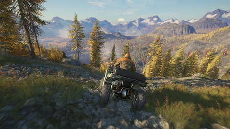 theHunter: Call of the Wild - ATV SABER 4X4 DLC (PC) - Steam Key - EUROPE - 4