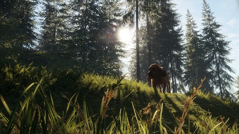 theHunter: Call of the Wild - Bloodhound (PC) - Steam Gift - EUROPE - 4