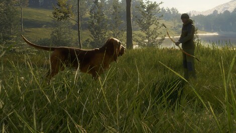 theHunter: Call of the Wild - Bloodhound (PC) - Steam Gift - GLOBAL - 2