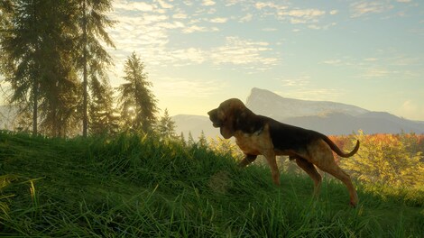 theHunter: Call of the Wild - Bloodhound (PC) - Steam Gift - GLOBAL - 5