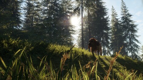 theHunter: Call of the Wild - Bloodhound (PC) - Steam Gift - GLOBAL - 4