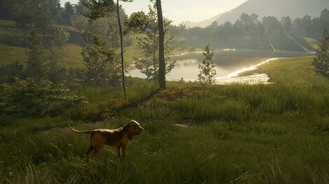 theHunter: Call of the Wild - Bloodhound (PC) - Steam Gift - GLOBAL - 9