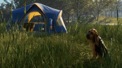 theHunter: Call of the Wild - Bloodhound (PC) - Steam Gift - GLOBAL - 8