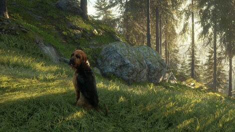 theHunter: Call of the Wild - Bloodhound (PC) - Steam Gift - GLOBAL - 6