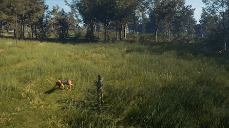 theHunter: Call of the Wild - Bloodhound (PC) - Steam Gift - GLOBAL - 7