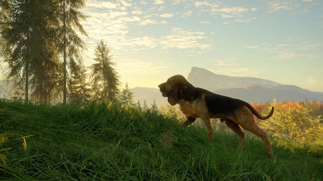 theHunter: Call of the Wild - Bloodhound (PC) - Steam Key - GLOBAL - 5