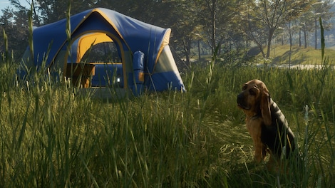 theHunter: Call of the Wild - Bloodhound (PC) - Steam Key - GLOBAL - 8