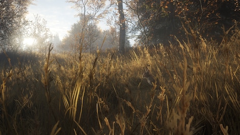 theHunter: Call of the Wild- Complete Collection (PC) - Steam Key - GLOBAL - 8