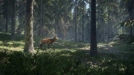 theHunter: Call of the Wild- Complete Collection (PC) - Steam Key - GLOBAL - 18
