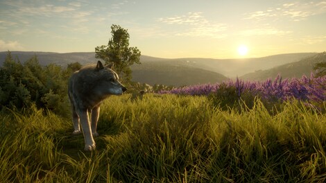 theHunter: Call of the Wild - Cuatro Colinas Game Reserve (PC) - Steam Gift - GLOBAL - 3