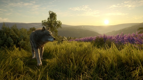 theHunter: Call of the Wild - Cuatro Colinas Game Reserve (PC) - Steam Key - EUROPE - 3