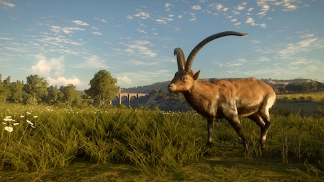 theHunter: Call of the Wild - Cuatro Colinas Game Reserve (PC) - Steam Key - EUROPE - 4