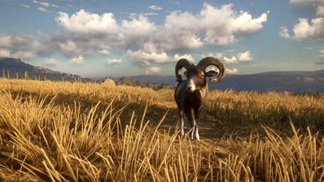 theHunter: Call of the Wild - Cuatro Colinas Game Reserve (PC) - Steam Key - EUROPE - 7