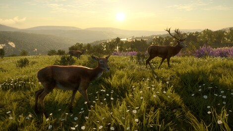 theHunter: Call of the Wild - Cuatro Colinas Game Reserve (PC) - Steam Key - EUROPE - 6
