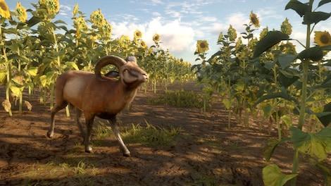theHunter: Call of the Wild - Cuatro Colinas Game Reserve (PC) - Steam Key - EUROPE - 5