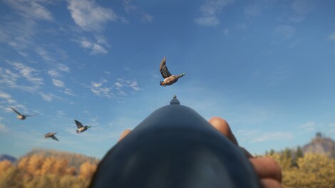 theHunter™: Call of the Wild - Duck and Cover Pack Steam Gift NORTH AMERICA - 0